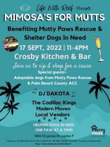  DJ Dakota, Party and Vegas DJ